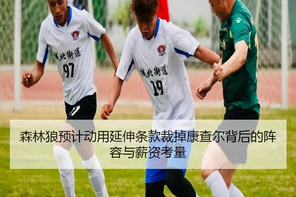 森林狼预计动用延伸条款裁掉康查尔背后的阵容与薪资考量